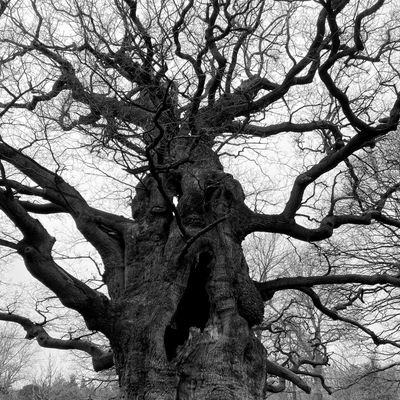 CptFootrot's profile picture. love the great outdoors, retro/modern gaming, history and archaeology. ready for the next battlefield, get out in nature as much as possible