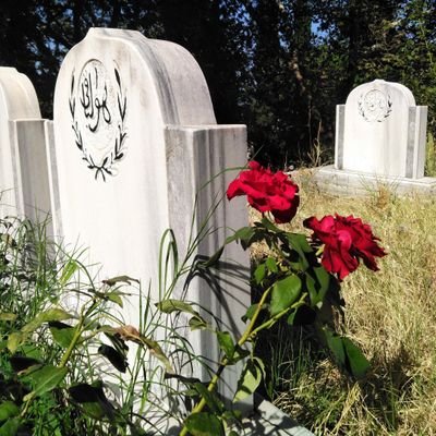 kimsee___'s profile picture. 'Kıymet bilinmek ister.' i.tenekeci 𔘓𓂃🥀