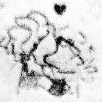 DISKOCLOUD's profile picture. ★i really liek to draw squid yaoi ★ Splatoon/Coroika/Persona4 ★Multishipper with a special focus on Halfgloves/buroguro & souyo★ priv: @PANCACHES