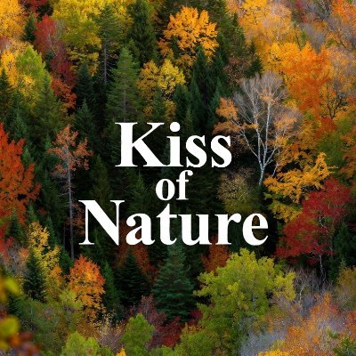 kiss_of_nature's profile picture. Enjoy the beautiful landscapes of our planet as imagined by AI. Some photos are genuine, taken by me. Can you spot the difference?