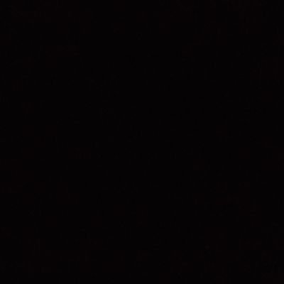 nicolefrazier0's profile picture. 🇺🇸