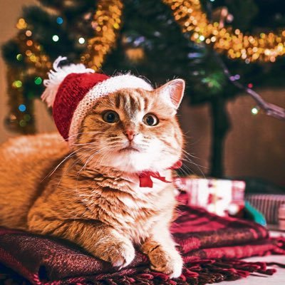 DavidWx129's profile picture. 