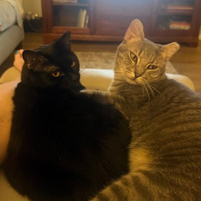 JosieFB's profile picture. Nashville roots run deep.