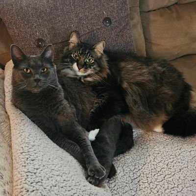 AKB00060's profile picture. 