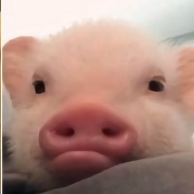 dehui_lin's profile picture. 