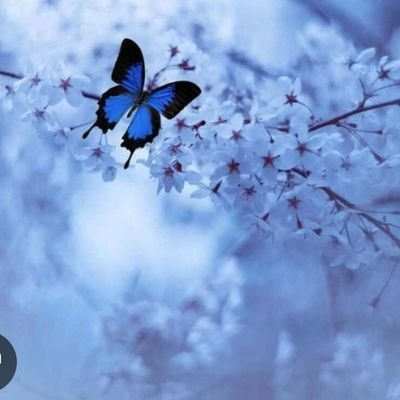 LLannote's profile picture. 🚫 DMs! God Family USA 🇺🇸 Mega MAGA Patriot 👋😁 Retired IT mgr from huge family of AF vets. IFBAP