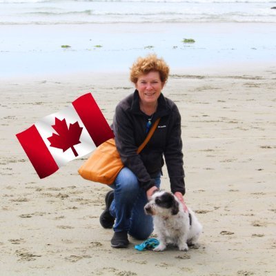 IslaMysteries's profile picture. Isla Mujeres Mysteries; a twist of #murder and a dash of #revenge in Mexico. Death in the Vineyards; #love, lust. loot. #mystery #wine #rescueddogs #beachreads