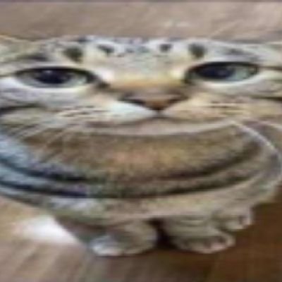 AdriaNT270's profile picture. 🇷🇴🇬🇧 22 | I like FPS games and F1 | ☦️