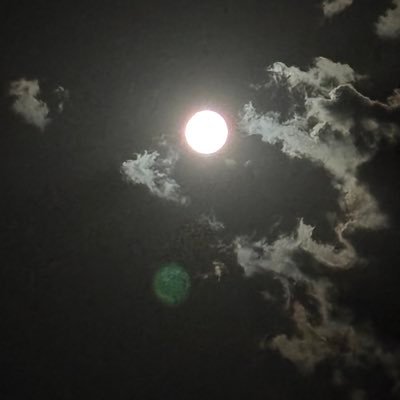 ibo_00000's profile picture. 