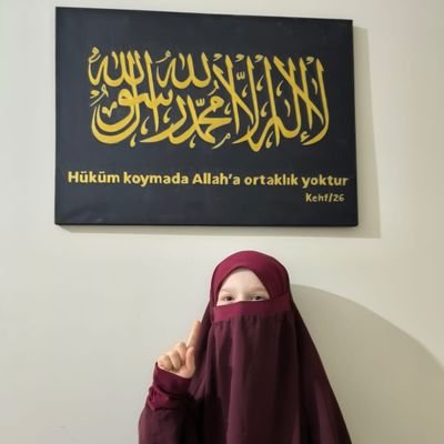 alas_turk's profile picture. 