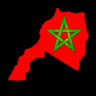 LyliaBenjelloun's profile picture. 