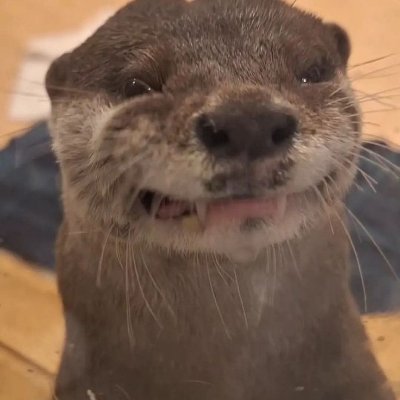 quovac1's profile picture. 