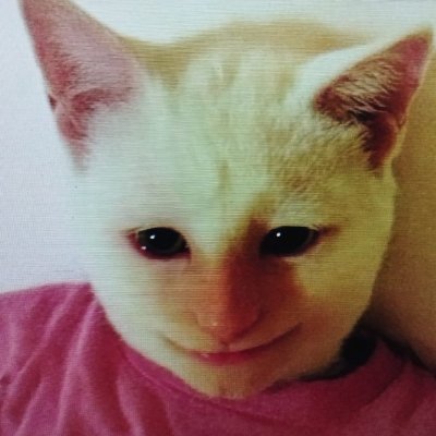 p480738228's profile picture. 🇲🇦
Co-président du MREN.
Contempteur de la vision éclairée.