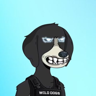 fjwalfurt's profile picture. Partner at Legacy Investment | Trader and Builder on BNB Chain | Dune & Aster Maxi