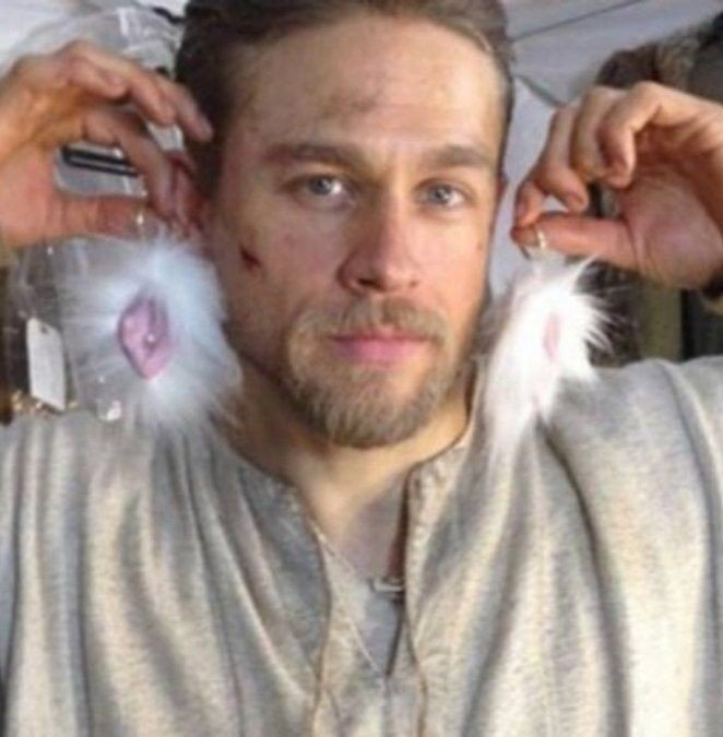 cineboxaus's profile picture. zootopia (2025)