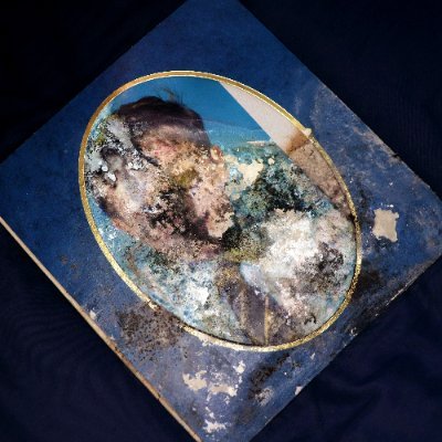 thatotherharry's profile picture. Writer ◈ Photographer ◈ Artist