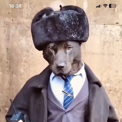 LeoBessa8's profile picture. "Por trás de todo Paladino da Moral, vive um Canalha"