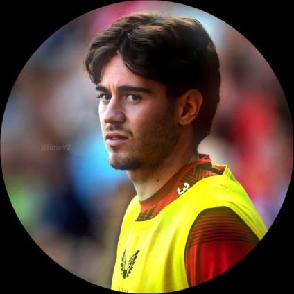 WrimeV2's profile picture. 