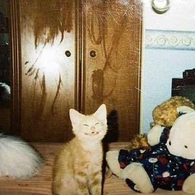 freakfestivals's profile picture. 