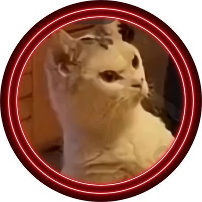 Chrisboxxed_you's profile picture. I tell y'all new update      

use code Chris.