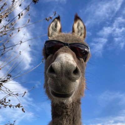 Tuan47753304's profile picture. My life quote starts with “R”