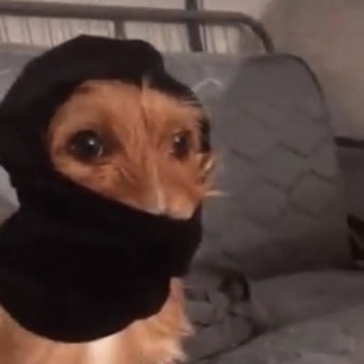 Gamergod29's profile picture. Ocassional crash outs during the months September-January