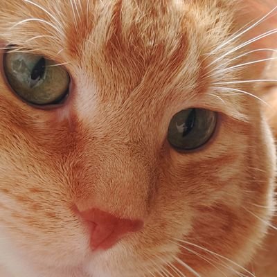 CrabRangoon2153's profile picture. 