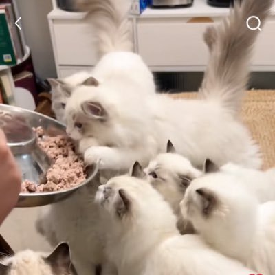 CarubinEmp's profile picture. 