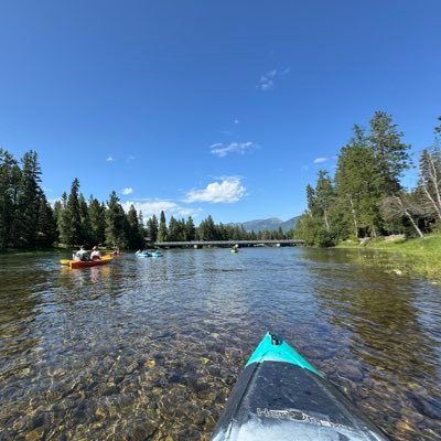 x0x0xVII's profile picture. 