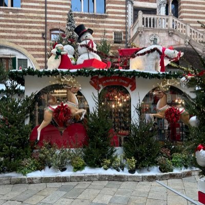 shyredmd's profile picture. mom, nurse, widow, reader. forever Team Pete.