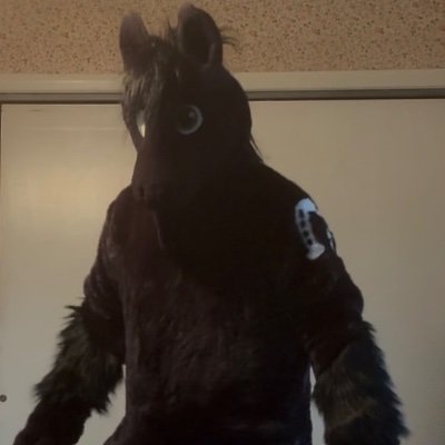canova22_mike's profile picture. 35, single, likes trucks, trains, animals
Interested in equine fursuits