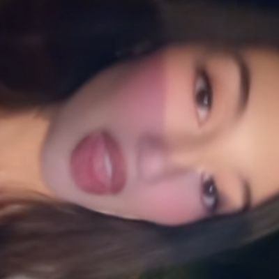 mulanbluebird's profile picture. full 3e degré