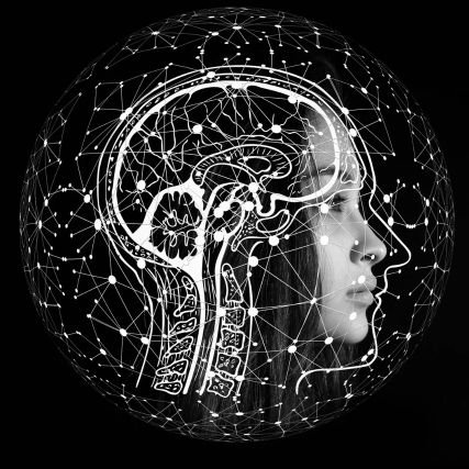 BrainResetClub's profile picture. Rewiring the modern mind.
Dopamine, focus, anxiety & habits decoded.
Daily brain upgrades.