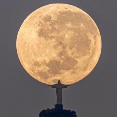 Scotcitys's profile picture. Tomorrow Is Never Promised⏳