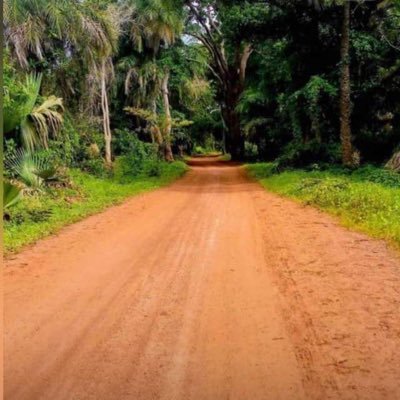 Saidyseedy60377's profile picture. ☦️⛪️✝️❤️👍🏿