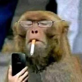 BKMuldoon's profile picture. 🇬🇧British Patriot 👑Monarchist
I swear a lot, including an oath once

Medically retired UK law enforcement.