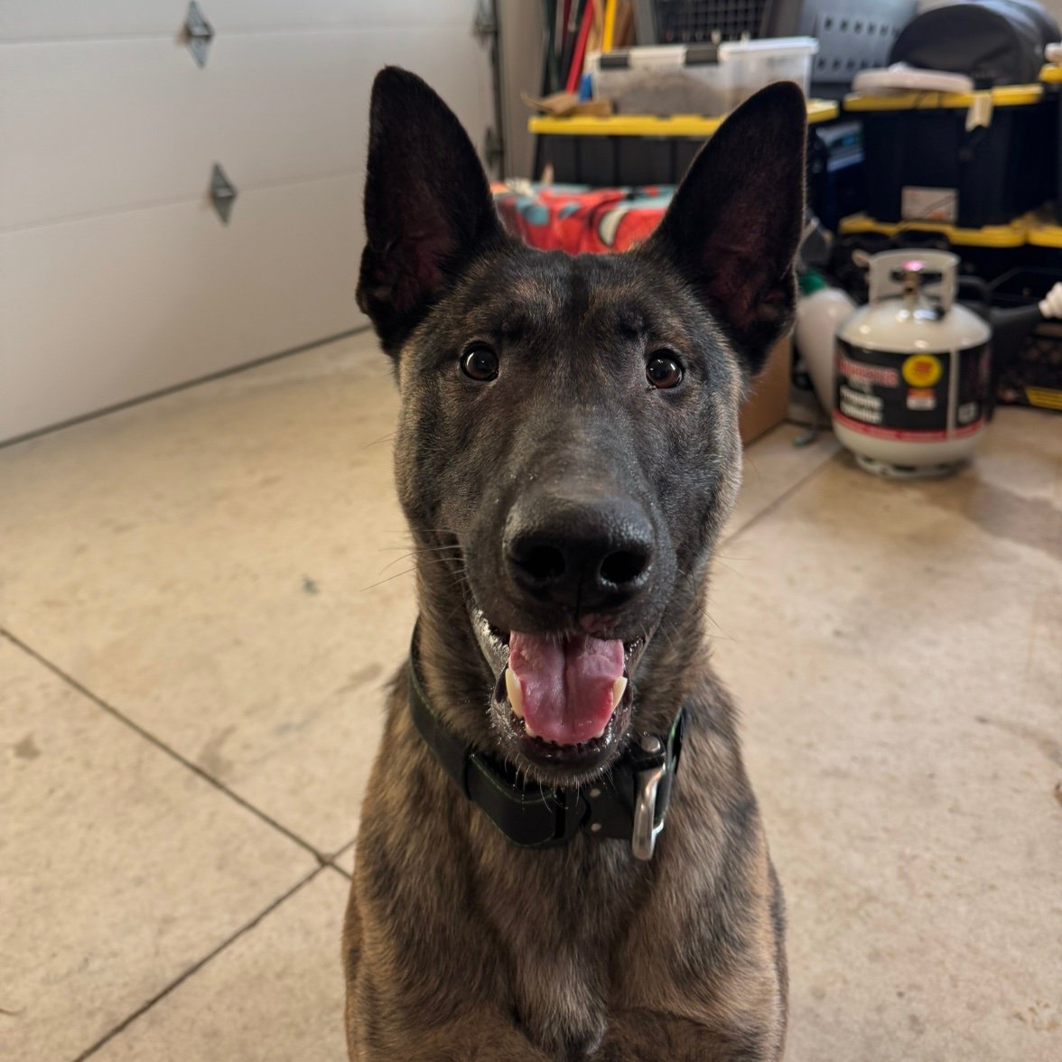 Bigjohnnyw1463's profile picture. 