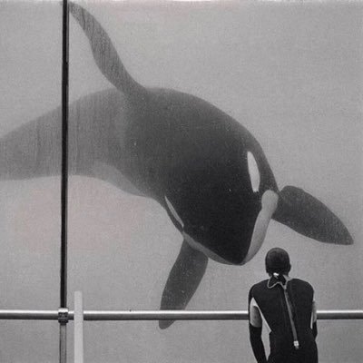 LK40378847's profile picture. 