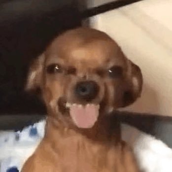 mannanwhxre's profile picture. BPD & ED Queen ᥫ᭡ | High sw/cw | Please be safe and engage at your own risk | Meanspo diary DTIP ᥫ᭡