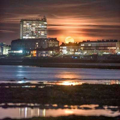 squangeybobbins's profile picture. https://t.co/7VRpX5dva2