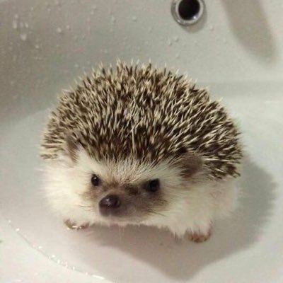 jayronnieee's profile picture. seventeen