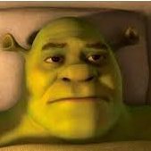 xaviarmemes's profile picture. Love to post memes