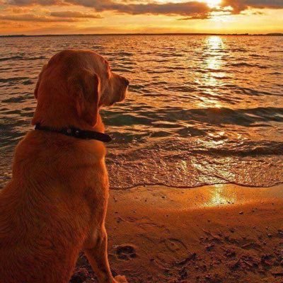 munyaojr's profile picture. 