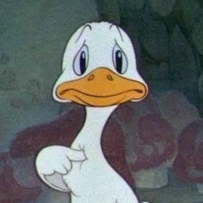 sarararraarrraa's profile picture. 👩🏼‍💻