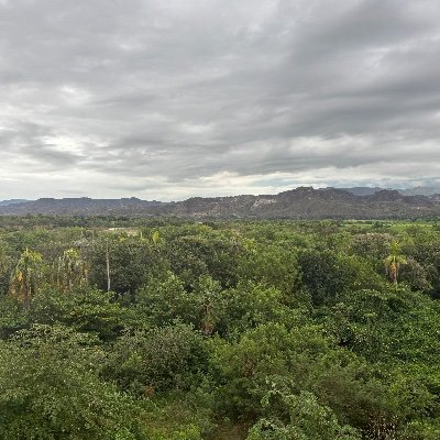 JorgeMu13585836's profile picture. 