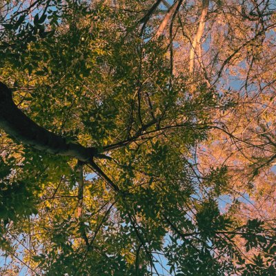 0xnahual's profile picture. NΛHUΛL ©
make magic // break limits