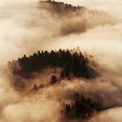 Learninglink_io's profile picture. 