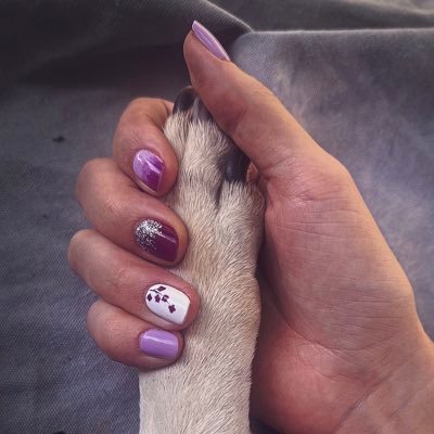 Chofisosa's profile picture. 