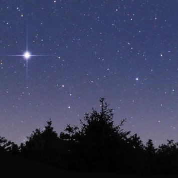 Kalamont22's profile picture. This is probably not safe for work