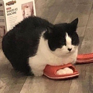 araforango's profile picture. 